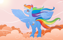 Size: 1267x800 | Tagged: dead source, safe, artist:atlur, ponerpics import, rainbow dash, pegasus, pony, cloud, cloudy, deleted from derpibooru, female, flying, mare, photoshop, plot, rear view, solo, wind