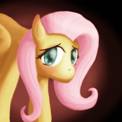 Size: 800x800 | Tagged: dead source, safe, artist:atlur, ponerpics import, fluttershy, pegasus, pony, blushing, deleted from derpibooru, female, gradient background, looking at you, mare, photoshop, solo