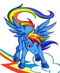 Size: 500x606 | Tagged: safe, artist:atlur, ponerpics import, rainbow dash, pegasus, pony, blue coat, cutie mark, deleted from derpibooru, female, mare, multicolored mane, multicolored tail, simple background, solo, spread wings, white background, wings