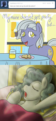 Size: 650x1403 | Tagged: safe, artist:atlur, ponerpics import, limestone pie, marble pie, ask, ask the pie sisters, comic, deleted from derpibooru, morning ponies, tumblr