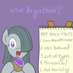 Size: 650x650 | Tagged: safe, artist:atlur, ponerpics import, marble pie, earth pony, pony, ask octavia, ask the pie sisters, deleted from derpibooru, female, hair over one eye, mare, no pupils, pet rock, rock, solo