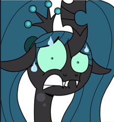 Size: 864x927 | Tagged: safe, artist:jay muniz, derpibooru import, edit, queen chrysalis, changeling, changeling queen, pony, ask crinkle bottom chrysalis, cropped, crown, ears, female, floppy ears, frown, funny, jewelry, lip bite, looking at you, pigtails, reaction image, regalia, scared, simple background, solo, sweat, white background