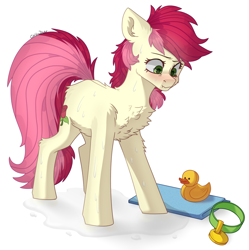 Size: 2500x2509 | Tagged: safe, artist:chibadeer, derpibooru import, roseluck, earth pony, pony, behaving like a cat, blushing, chest fluff, collar, cute, female, fluffy, leg fluff, mare, pet tag, pony pet, rosepet, wet