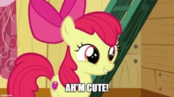 Size: 888x499 | Tagged: safe, derpibooru import, apple bloom, earth pony, pony, the fault in our cutie marks, accent, adorabloom, apple bloom's bow, bow, captain obvious, clubhouse, crusaders clubhouse, cute, cutie mark, female, filly, hair bow, i'm cute, meme, solo