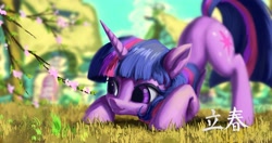 Size: 4096x2160 | Tagged: safe, artist:tinybenz, derpibooru import, twilight sparkle, unicorn twilight, pony, unicorn, cherry blossoms, chinese, face down ass up, female, flower, flower blossom, high res, looking at something, mare, ponyville, solo, spring