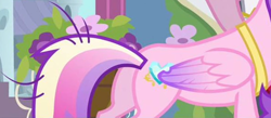 Size: 1922x841 | Tagged: safe, derpibooru import, screencap, princess cadance, alicorn, pony, a canterlot wedding, butt, cropped, female, lovebutt, low quality, mare, messy tail, plot, solo
