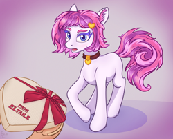 Size: 4000x3208 | Tagged: safe, artist:eltaile, derpibooru import, oc, oc only, oc:ronya, pony, box, chocolate, choker, duo, female, food, heart, open mouth, present, ribbon