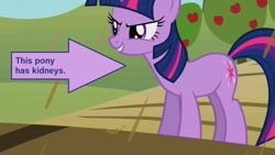 Size: 1280x720 | Tagged: safe, derpibooru import, screencap, twilight sparkle, unicorn twilight, pony, unicorn, the return of harmony, arrow, captain obvious, chocolate, chocolate rain, fact, female, food, rain, solo