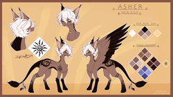 Size: 3990x2230 | Tagged: safe, artist:honeybbear, derpibooru import, oc, oc:asher, pegasus, pony, male, reference sheet, solo, stallion, two toned wings, wings