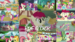 Size: 1974x1111 | Tagged: safe, derpibooru import, edit, edited screencap, editor:quoterific, screencap, angel bunny, berry punch, berryshine, bon bon, carrot top, cherry berry, cloud kicker, daisy, doctor whooves, flower wishes, fluttershy, golden harvest, goldengrape, gooseberry, lemon hearts, lily, lily valley, pokey pierce, roseluck, sassaflash, scootaloo, seabreeze, sir colton vines iii, starlight glimmer, sugar belle, sweetie drops, breezie, earth pony, pegasus, pony, unicorn, a friend in deed, a trivial pursuit, applebuck season, best gift ever, bridle gossip, it ain't easy being breezies, it isn't the mane thing about you, no second prances, she talks to angel, slice of life (episode), student counsel, the big mac question, 3d glasses, bipedal, bipedal leaning, body swap, clothes, ear fluff, ears, eyes closed, female, filly, flower, flower trio, friendship student, hat, helmet, leaning, male, older, older scootaloo, open mouth, scarf, school of friendship, scooter, trotting, twilight's castle, walking, winter outfit