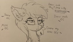 Size: 2874x1649 | Tagged: safe, artist:midnight story, derpibooru exclusive, derpibooru import, oc, oc:midnight story, bat pony, hybrid, pegasus, pony, annoyed, bat pony oc, chest fluff, dialogue, ear fluff, ear piercing, ears, female, fluffy, lidded eyes, mare, monochrome, piercing, sketch, solo, traditional art