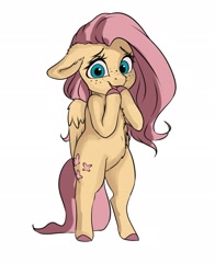 Size: 2143x2737 | Tagged: safe, artist:miokomata, derpibooru import, fluttershy, pegasus, pony, semi-anthro, cute, ears, female, floppy ears, freckles, freckleshy, looking at you, mare, shyabetes, simple background, solo, white background
