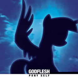 Size: 1200x1204 | Tagged: safe, artist:igokapichka, derpibooru import, twilight sparkle, twilight sparkle (alicorn), alicorn, pony, godflesh, ponified, ponified album cover, silhouette