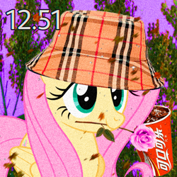 Size: 600x600 | Tagged: safe, derpibooru import, fluttershy, pegasus, pony, aesthetic, aesthetics, flower, rose, sad boys