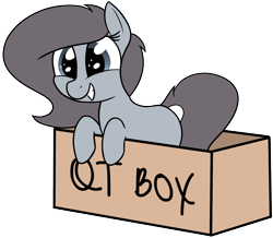 Size: 1836x1603 | Tagged: safe, artist:axlearts, oc, oc only, oc:delpone, earth pony, pony, box, female, pony in a box, simple background, smiling, solo, transparent background