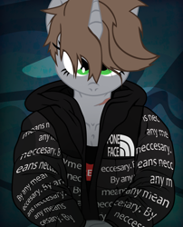 Size: 1746x2160 | Tagged: safe, artist:aaronmk, derpibooru import, oc, oc:littlepip, anthro, unicorn, fallout equestria, drip, female, hypebeast jacket, scar, solo, solo female, vector