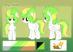 Size: 6096x4367 | Tagged: safe, artist:1fresita, derpibooru import, oc, oc:ray hope, pegasus, pony, absurd resolution, female, mare, reference sheet, solo