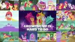 Size: 1978x1113 | Tagged: safe, derpibooru import, edit, edited screencap, editor:quoterific, screencap, apple bloom, applejack, biscuit, bloofy, fluttershy, gourmand ramsay, rainbow dash, rarity, ruby slippers (pony), scootaloo, spur, sweetie belle, twilight sparkle, twilight sparkle (alicorn), alicorn, bufogren, earth pony, pegasus, pony, unicorn, growing up is hard to do, applejack's hat, bag, bipedal, bon appétit, book, bow, clothes, cowboy hat, cutie mark crusaders, eyes closed, female, filly, flower, glowing horn, hat, horn, laughing, magic, magic aura, male, older, older apple bloom, older scootaloo, older sweetie belle, open mouth, saddle bag, self ponidox, teeth, tied up, train station, trio, trio female, wishing flower