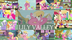 Size: 1968x1110 | Tagged: safe, derpibooru import, edit, edited screencap, editor:quoterific, screencap, bon bon, carrot top, cherry spices, daisy, doctor whooves, flower wishes, golden harvest, goldengrape, lily, lily valley, linky, minuette, pegasus olsen, pinkie pie, roseluck, royal riff, scootaloo, shoeshine, sir colton vines iii, spike, sweetie drops, thorn (character), violet twirl, dragon, earth pony, pegasus, pony, unicorn, a trivial pursuit, applebuck season, best gift ever, bridle gossip, growing up is hard to do, it isn't the mane thing about you, marks for effort, pinkie pride, slice of life (episode), the big mac question, the cutie pox, triple threat, bipedal, boots, cowboy boots, cowboy hat, eyes closed, female, flower trio, food, freakout, friendship student, gasp, hat, hearts and hooves day, helmet, male, older, older scootaloo, open mouth, party hat, peggy holstein, pie, running, scared, scooter, shocked, shoes, sleeping, solo, stomach growl, stomach noise, teeth, trio, trio female, walking