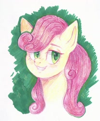 Size: 1413x1707 | Tagged: safe, artist:ske, derpibooru import, strawberry sunrise, pegasus, pony, marker drawing, pencil drawing, solo, traditional art