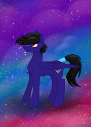 Size: 1928x2680 | Tagged: safe, artist:jane969, derpibooru import, oc, oc:paladin colt, pegasus