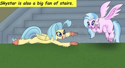 Size: 1149x625 | Tagged: safe, artist:chedx, derpibooru import, edit, princess skystar, silverstream, hippogriff, my little pony: the movie, cousins, cropped, cute, diastreamies, headcanon, skyabetes, stair, stairs, text, that hippogriff sure does love stairs