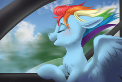 Size: 4250x2873 | Tagged: safe, artist:taytinabelle, derpibooru import, rainbow dash, pegasus, pony, behaving like a dog, blurry background, blushing, car, cheek fluff, chest fluff, cloud, cute, dashabetes, ears, eyes closed, female, floppy ears, happy, mare, open mouth, seatbelt, smiling, solo, spread wings, windswept mane, wings