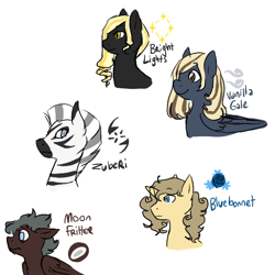 Size: 538x538 | Tagged: safe, artist:mew, derpibooru import, oc, oc only, oc:bluebonnet, oc:bright lights, oc:moonfritter, oc:vanilla gale, oc:zuberi, pegasus, zebra, bust, female, mare, portrait