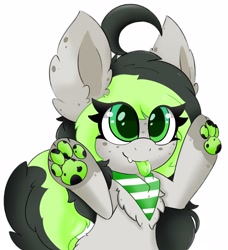 Size: 2736x3000 | Tagged: safe, artist:pegamutt, derpibooru import, oc, oc:bree, oc:bree jetpaw, pegasus, big ears, clothes, colored tongue, cowlick, curly tail, ears, fangs, fluffy, freckles, paws, pegamutt, scarf, solo, spots, tongue out
