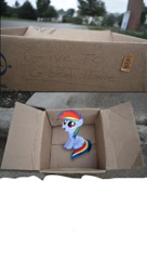 Size: 400x737 | Tagged: safe, derpibooru import, rainbow dash, blank, evil people finding dash meme, exploitable meme, female, filly, meme, meme template, obligatory pony, solo