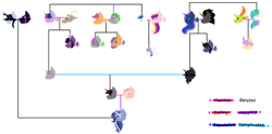 Size: 1280x633 | Tagged: safe, artist:orangemoonarts, derpibooru import, discord, king sombra, princess cadance, princess celestia, princess flurry heart, princess luna, scootaloo, shining armor, spike, thorax, twilight sparkle, twilight sparkle (alicorn), oc, alicorn, changedling, changeling, changepony, dragon, hybrid, pony, discolight, family tree, female, interspecies offspring, king thorax, lumbra, male, next generation, oc x oc, offspring, offspring shipping, offspring's offspring, parent:discord, parent:king sombra, parent:princess celestia, parent:princess luna, parent:scootaloo, parent:spike, parent:thorax, parent:twilight sparkle, parents:discolight, parents:lumbra, parents:oc x oc, parents:scootaspike, parents:thoralestia, scootaspike, shiningcadance, shipping, simple background, straight, thoralestia, transparent background