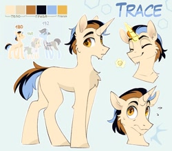 Size: 1135x1000 | Tagged: safe, artist:trickate, derpibooru import, oc, oc only, oc:trace, pony, unicorn, reference sheet, solo