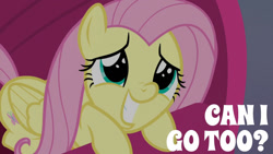 Size: 1280x720 | Tagged: safe, derpibooru import, edit, edited screencap, editor:quoterific, screencap, fluttershy, pegasus, pony, sweet and smoky, cute, female, gritted teeth, lying down, mare, prone, puppy dog eyes, shyabetes, smiling, sofa, solo, teeth