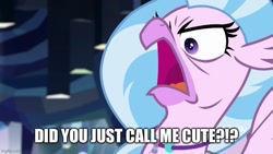 Size: 800x450 | Tagged: safe, derpibooru import, edit, edited screencap, screencap, silverstream, classical hippogriff, hippogriff, what lies beneath, angry, birb, caption, cute, denial's not just a river in egypt, diastreamies, faic, female, frown, glare, i'm not cute, image macro, imgflip, madorable, open mouth, rage, silverrage, solo, spread wings, text, tsundere, wings