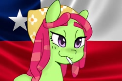 Size: 612x408 | Tagged: safe, derpibooru import, edit, editor:tcgamebot, tree hugger, earth pony, pony, chile, drugs, female, mare, smoking, solo