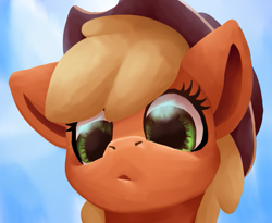 Size: 665x546 | Tagged: safe, artist:skyblazeart, derpibooru import, applejack, earth pony, pony, big eyes, head, sky