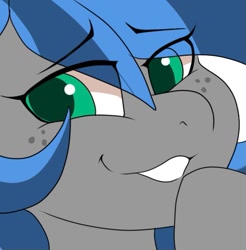 Size: 663x673 | Tagged: safe, artist:littlebibbo, oc, oc only, oc:bibbo, pegasus, pony, close-up, eye clipping through hair, female, freckles, looking at you, mare, raised hoof, raised leg, smiling, smug, solo, stare