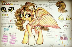 Size: 720x478 | Tagged: safe, artist:maryhoovesfield, derpibooru import, oc, oc only, pegasus, pony, chest fluff, choker, clothes, cyrillic, ear fluff, ears, eyelashes, flower, pegasus oc, reference sheet, rose, russian, signature, smiling, socks, solo, striped socks, traditional art, wings