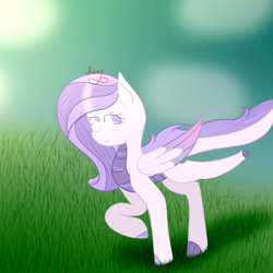 Size: 2000x2000 | Tagged: safe, artist:thecommandermiky, derpibooru import, oc, oc:commander miky, dracony, dragon, hybrid, pony, grass, grass field, solo