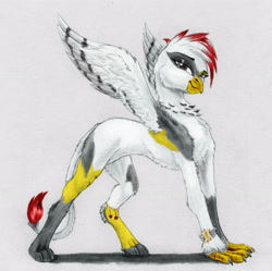 Size: 3088x3080 | Tagged: safe, artist:joestick, derpibooru exclusive, derpibooru import, editor:vedont, oc, oc only, griffon, anklet, bracelet, colored, female, griffon oc, high res, jewelry, looking at you, simple background, solo, traditional art, white background