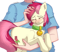 Size: 2500x2152 | Tagged: safe, artist:chibadeer, derpibooru import, roseluck, earth pony, human, pony, behaving like a cat, blushing, chest fluff, collar, commission, commissioner:doom9454, cute, cuteluck, ear fluff, ears, eyes closed, fluffy, holding a pony, pet tag, petting, pony pet, purring, rosepet