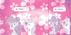 Size: 4000x2000 | Tagged: safe, artist:dilarus, ponerpics import, fluttershy, pinkie pie, deleted from derpibooru, humor, meet-the-pones