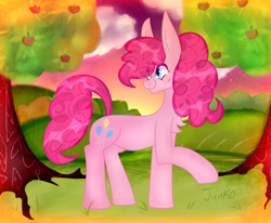 Size: 1300x1070 | Tagged: safe, alternate version, artist:junko, derpibooru import, pinkie pie, earth pony, pony, apple, apple tree, art, big ears, blue eyes, chest fluff, chubbie pie, chubby, cloud, cute, diapinkes, digital art, ears, female, fluffy mane, grass, grass field, looking offscreen, mare, raised hoof, raised leg, signature, smiling, solo, stars, tree