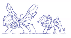 Size: 2400x1308 | Tagged: safe, artist:dilarus, ponerpics import, rainbow dash, scootaloo, pegasus, pony, deleted from derpibooru, duo, female, filly, mare, monochrome, sketch, spread wings, wings