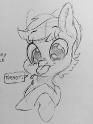 Size: 960x1280 | Tagged: safe, artist:dilarus, ponerpics import, oc, oc only, oc:raspberry razzle, pegasus, pony, deleted from derpibooru, female, grayscale, mare, monochrome, onomatopoeia, pencil drawing, raspberry, raspberry noise, solo, tongue, tongue out, traditional art