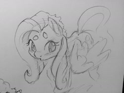 Size: 1280x960 | Tagged: safe, artist:dilarus, ponerpics import, fluttershy, pegasus, pony, beanbrows, deleted from derpibooru, eyebrows, female, grayscale, mare, monochrome, solo, traditional art