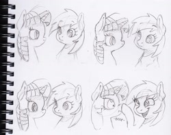 Size: 1801x1417 | Tagged: safe, artist:dilarus, ponerpics import, derpy hooves, twilight sparkle, twilight sparkle (alicorn), alicorn, pegasus, pony, boop, bust, comic, deleted from derpibooru, duo, female, grayscale, looking at each other, mare, monochrome, noseboop, scrunchy face, sketch, this will end in jail time, traditional art, treason