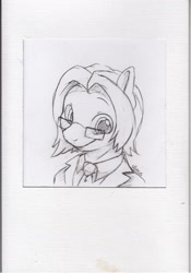 Size: 1250x1786 | Tagged: safe, artist:dilarus, ponerpics import, oc, oc only, pony, bust, deleted from derpibooru, glasses, grayscale, looking at you, monochrome, necktie, pencil drawing, portrait, simple background, solo, traditional art, white background