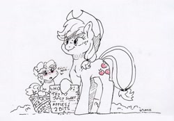 Size: 1998x1390 | Tagged: safe, artist:dilarus, ponerpics import, applejack, pinkie pie, earth pony, pony, apple basket, applepie, cowboy hat, deleted from derpibooru, double entendre, female, hat, ink drawing, lesbian, mare, monochrome, shipping, sign, simple background, sketch, smiling, traditional art, white background