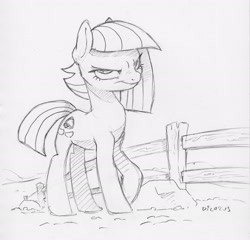 Size: 2226x2133 | Tagged: safe, artist:dilarus, ponerpics import, limestone pie, earth pony, pony, deleted from derpibooru, female, fence, grayscale, looking at you, mare, monochrome, pencil drawing, signature, simple background, smiling, smirk, solo, traditional art, white background